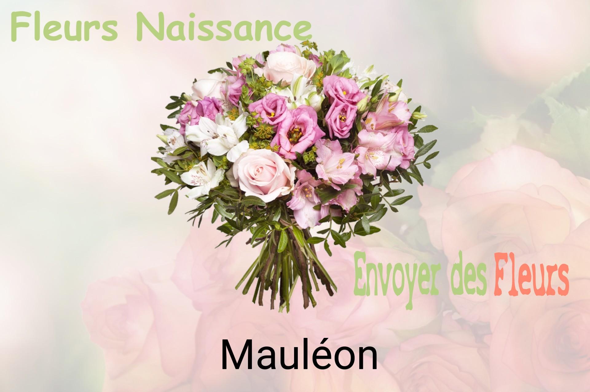 Bouquet de fleurs de naissance livré à Mauléon
